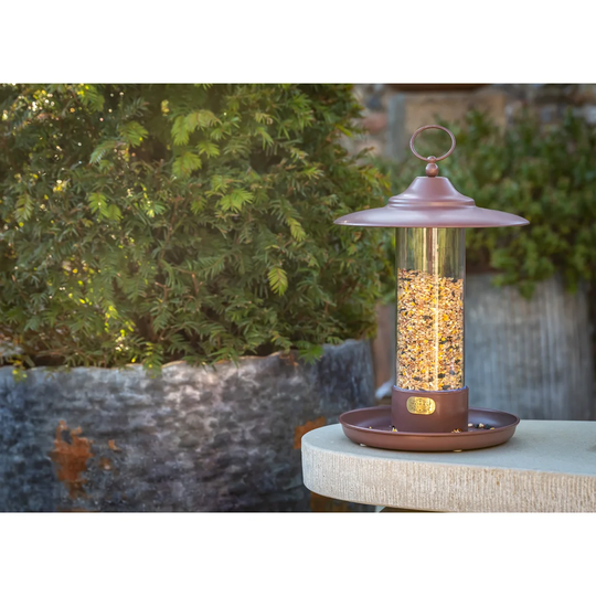 Derwin Tube Bird Feeder