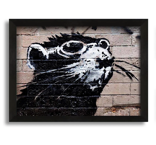 Rat Sunglasses Framed Print