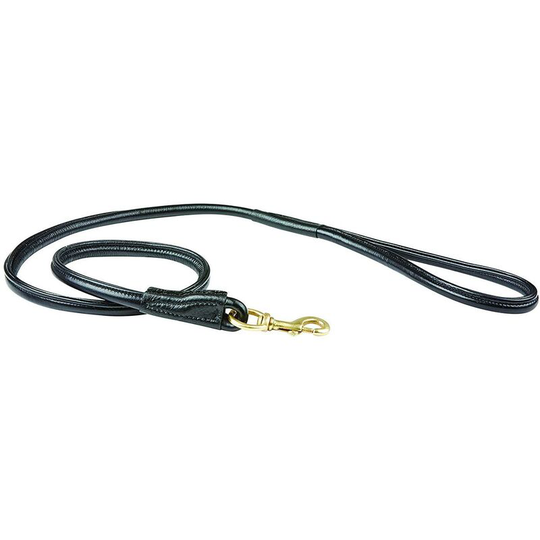 Rolled Leather Dog Lead (One Size) (Black) - Black - Weatherbeeta