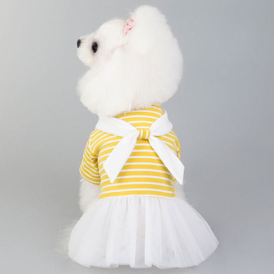 Spring and summer thin pet clothes small and medium-sized dog sarong Bichon Teddy dog clothing m (chest 37', neck 26', back 25' suitable for weight