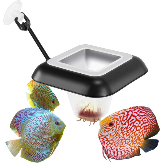 2 Pcs Aquarium Feeding Ring Red Square Floating Ring Auger Feeder with Suction Cup