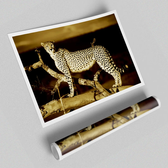 Leopard Perch Sepia - Graphic Art Print on Paper