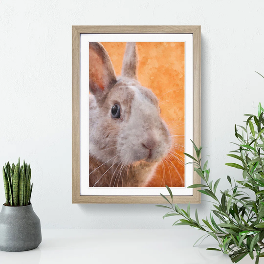 Bunny Rabbit in Colour - Picture Frame Graphic Art