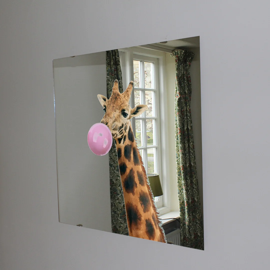 Drazic Wall Mounted Accent Mirror