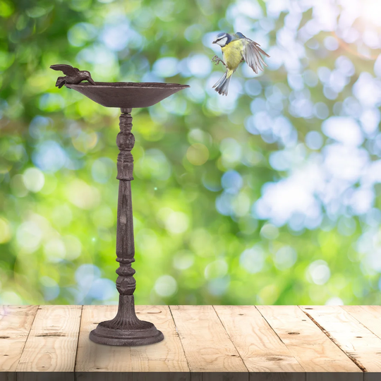 Whiddon Bird Bath