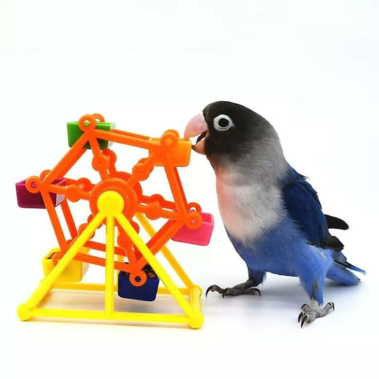 Bird Feeder Toy Creative Parrot Feeder Colorful Pecking Windmill Toy Rotate Training Toy Intelligence Growth Cage