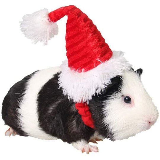Kartokner - Hamster Christmas Hat Adorable Santa Hat Small Animals Grooming Costume Xmas Party Accessories for Pig Turkey Rabbit Cat