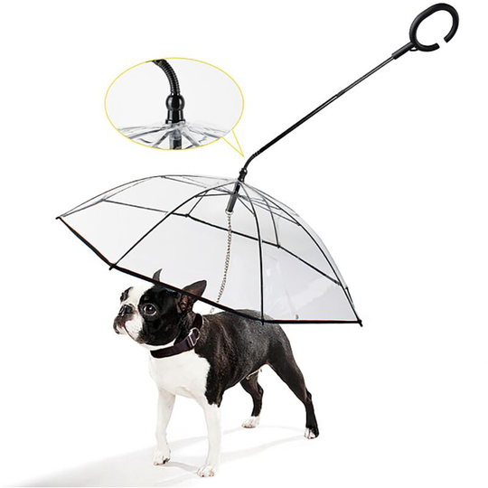 Perle Raregb - Pet Umbrella Dog Dog Umbrella c Rainy Day Dog Walking leaves