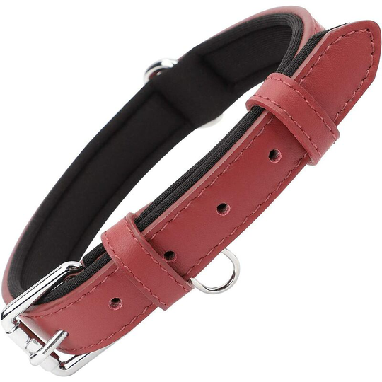 Red Padded Leather Adjustable Padded Dog Collar (s)