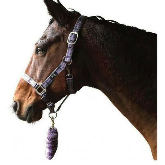 Tartan Head Collar with Lead Rope (Full) (Purple/Grey/Lilac) - Purple/Grey/Lilac - HY