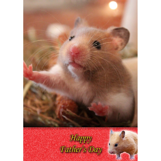 Hamster Father's Day Card