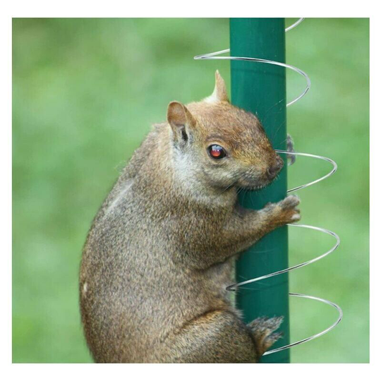 1 Piece Squirrel Deflector Metal Spring Device Squirrel Locking Spring Coil Type Outdoor Bird Feeder Bird Feeder Accessories