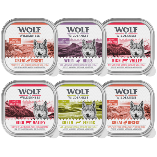 Wolf of Wilderness Adult Saver Pack 24 x 300g - Mixed Pack: 4 Varieties