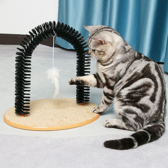 2021 Kitten Brush Cat Toys Pet Supplies Dog Arch Rubbing Device Kitten Scratching Funny Pet Interactive Training Toy Comfortable