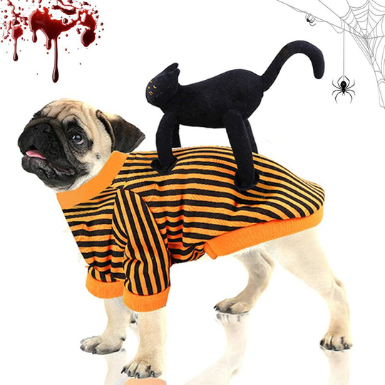 Readcly - Halloween clothes for dogs, halloween for pets, halloween costumes for cats and dogs, halloween party costumes for dogs, halloween costumes