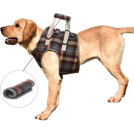 Bearsu - Adjustable Handicapped Dog Harness Dog Support Harness for Front Legs, Mesh Lifting Harness for Canine Aid Rehabilitation, Elderly, Injured