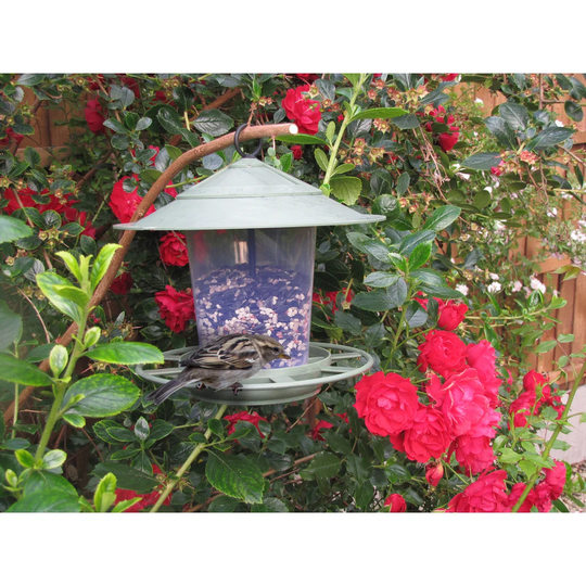 Gunward Tube Bird Feeder