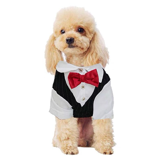 Small and Medium Dog Tuxedo Suit, Dog Shirt Formal Suit for Festival Wedding Party