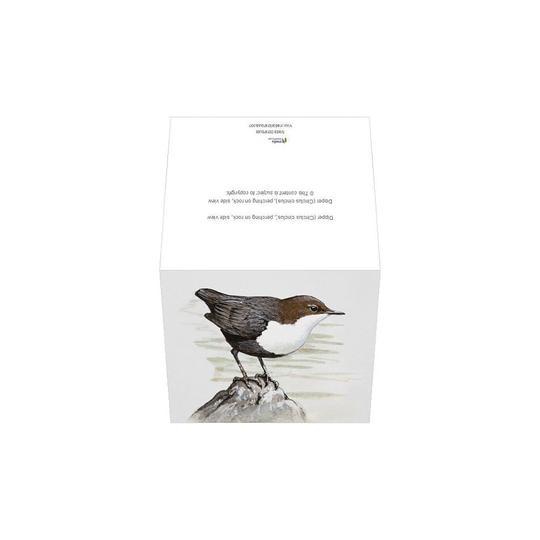 (A5 (14x21cm)) Dipper (Cinclus cinclus), perching on rock, side view (Greeting Cards)