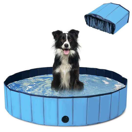 Nugent Foldable Dog Pool