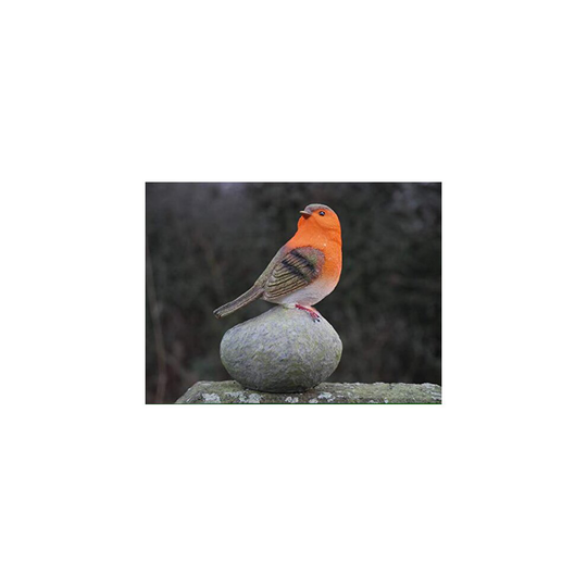 Robin Redbreast Perched On Stones Resin Bird Set Highly Detailed