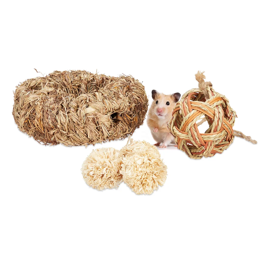 Holcomb 5 Piece Weather Resistant Hamster Accessories