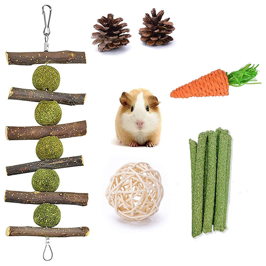 Betterlifegb - Chewn toys for dwarf rabbit, carrot toys for small animals, India pig toys, teeth care for hamster India pig Chinchilla parrot rats (6