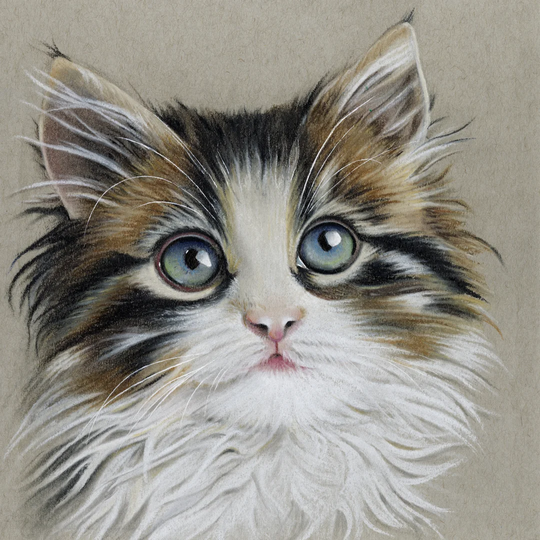 Kitten Portrait II By Lily Liama - Wrapped Canvas Painting Print