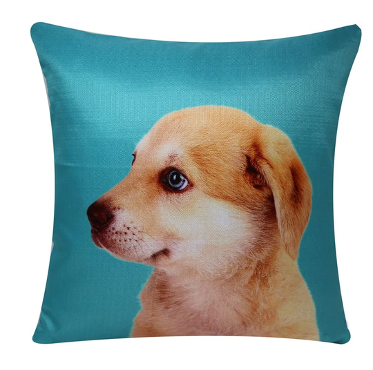 Deyvin Cute Labrador Puppy No Pattern And Not Solid Colour Scatter Cushion Cover
