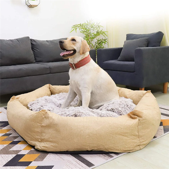 Colyer Dog Pad