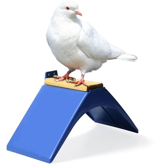 Pigeon Rest Stand Pigeon Perches Frame Grill Dwelling Roost Durable Plastic Birds Supplies,model:Blue