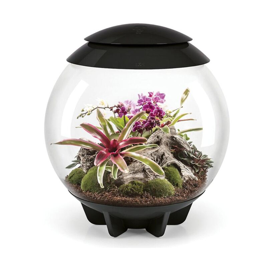 Biorb - air 60 Litre Automatic Terrarium in Black with led Lighting