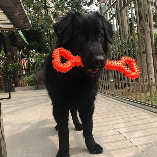 Aggressive Dog Chew Toy, Durable Teeth Replacement for Energetic Medium Large Dogs (Orange) (1 Pack)