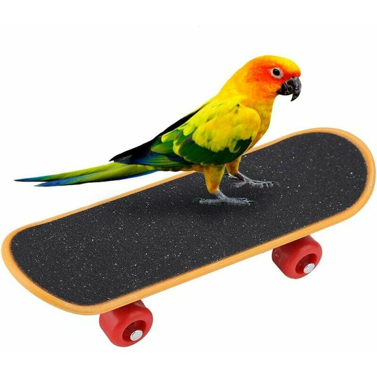 Parrot Skateboard, 5.5'' Mini Smart Exercise Skateboard Toy for Small Medium Birds Parakeets Cockatiels Doves Conures