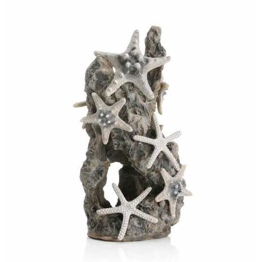 Biorb - Samuel Baker Sea Stars on a Rock, Grey