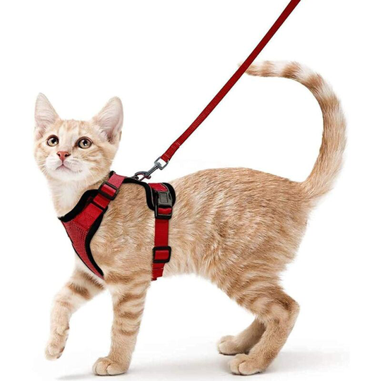 Cat Harness Small Dog Leash Kitten Harness Adjustable Red s Collar Reflective Cat Harness Vest Breathable for Rabbit, European Cat, Maine Coon,
