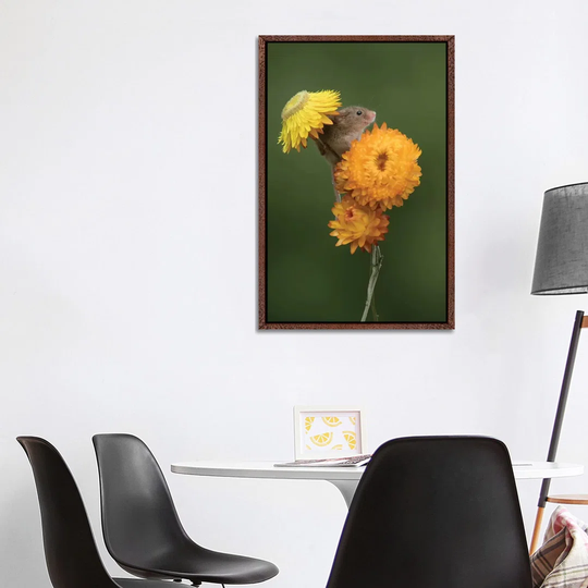 Summer Shade Harvest Mouse by Dean Mason - Photograph Print on Canvas