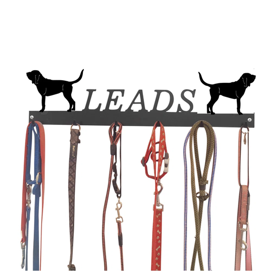 Allengrove Wall Mounted Coat Rack