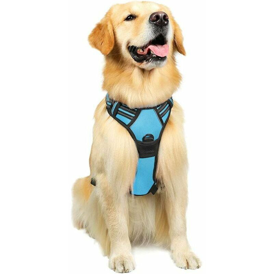 Qersta - Dog Harness Dog Harness, Anti-Pull Pet Harness with 2 Leash Clips, Adjustable Soft Padded Dog Vest, Reflective Oxford Pet Vest Outdoor with