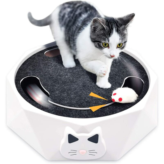 Interactive Cat Toy-Kitten Automatic Track Toy with Electronic Rotating Mouse and Scratch Pads-Mouse Squeak Sound Optional-for Indoor Cats
