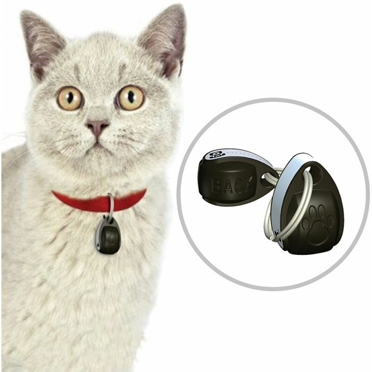 2 Spare Cat Collar Magnets Cat Mate Door