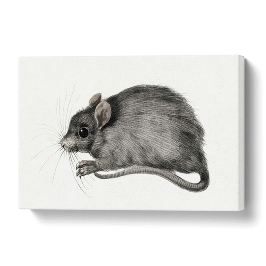 'A Mouse' by Jean Bernard - Wrapped Canvas Painting Print