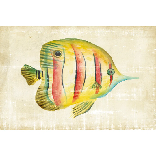 Aquarium Fish III by Chariklia Zarris - Wrapped Canvas Painting Print