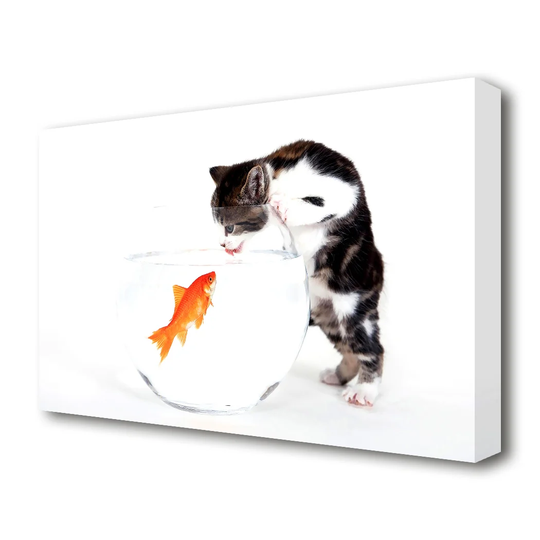 Kitten VS Fish Wildlife - Wrapped Canvas Photograph Print