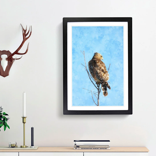 Hawk Perched in a Tree - Picture Frame Painting Print