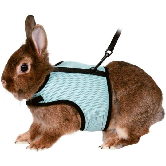Modou - Pet Harness with Nylon Leash - Vest Style - for Squirrel, Hamster, Guinea Pig, Rat, Hamster and Small Animals - Blue - m (Guinea Pig)