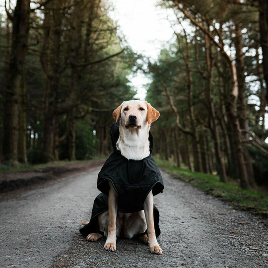 Danish Design - Ultimate 2-In-1 Dog Coat Black - 50 Cm (20') Black