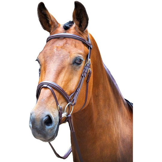 Bodenham Leather Horse Bridle (Small Pony) (Australian Nut) - Australian Nut - Salisbury