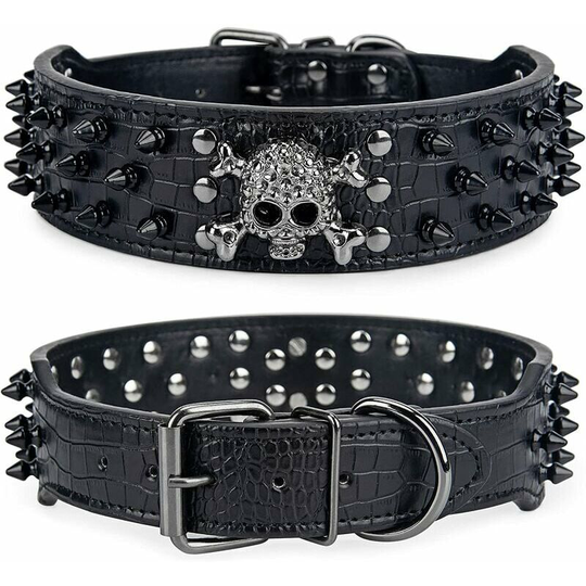 Skull pet collar