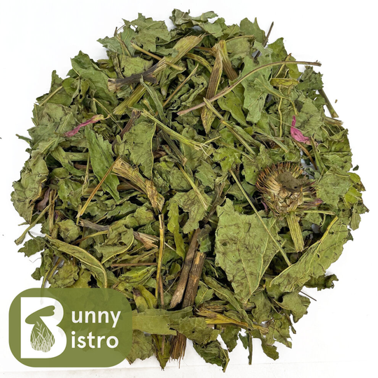 (100g) Bunny Bistro Dried Echinacea Stems & Flowers - Rabbit, Guinea Pig